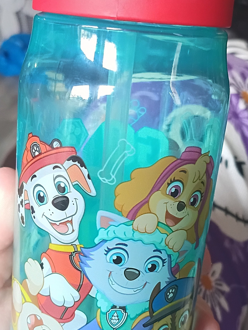 Teal Paw Patrol Kids Water Bottle with Red Lid
